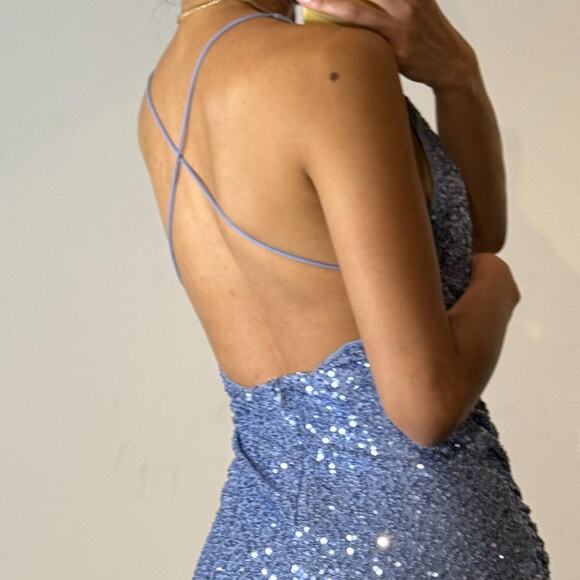 Periwinkle Sequined Dress - Picture 3 of 6